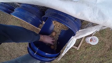 "LAYIT BUCKET" - 5 Gal Egg Laying Bucket for Chicken Tractor