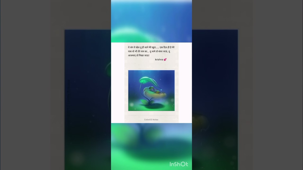 Krishna's Grace!❤️