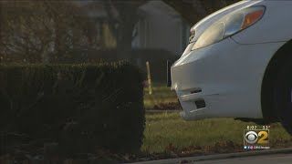 Teens Accused In DuPage County Crime Spree