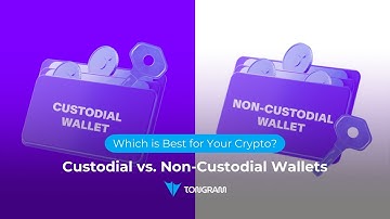Custodial vs. Non-Custodial Wallets: Which is Best for Your Crypto? | Tongram App Store
