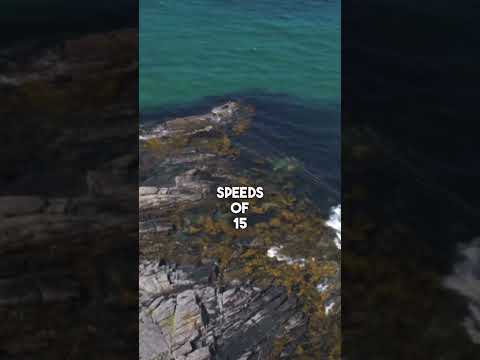 Top Kitesurfing Spots