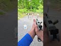 PA State Steel Challenge Championship Showdown with Limited #competitionshooting #steelchallenge