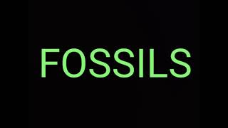 Aro Ekbar Cholo Fire Jai | Fossils | Lyrics Video