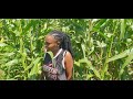Conservation Agriculture maize testimony  - Stephen