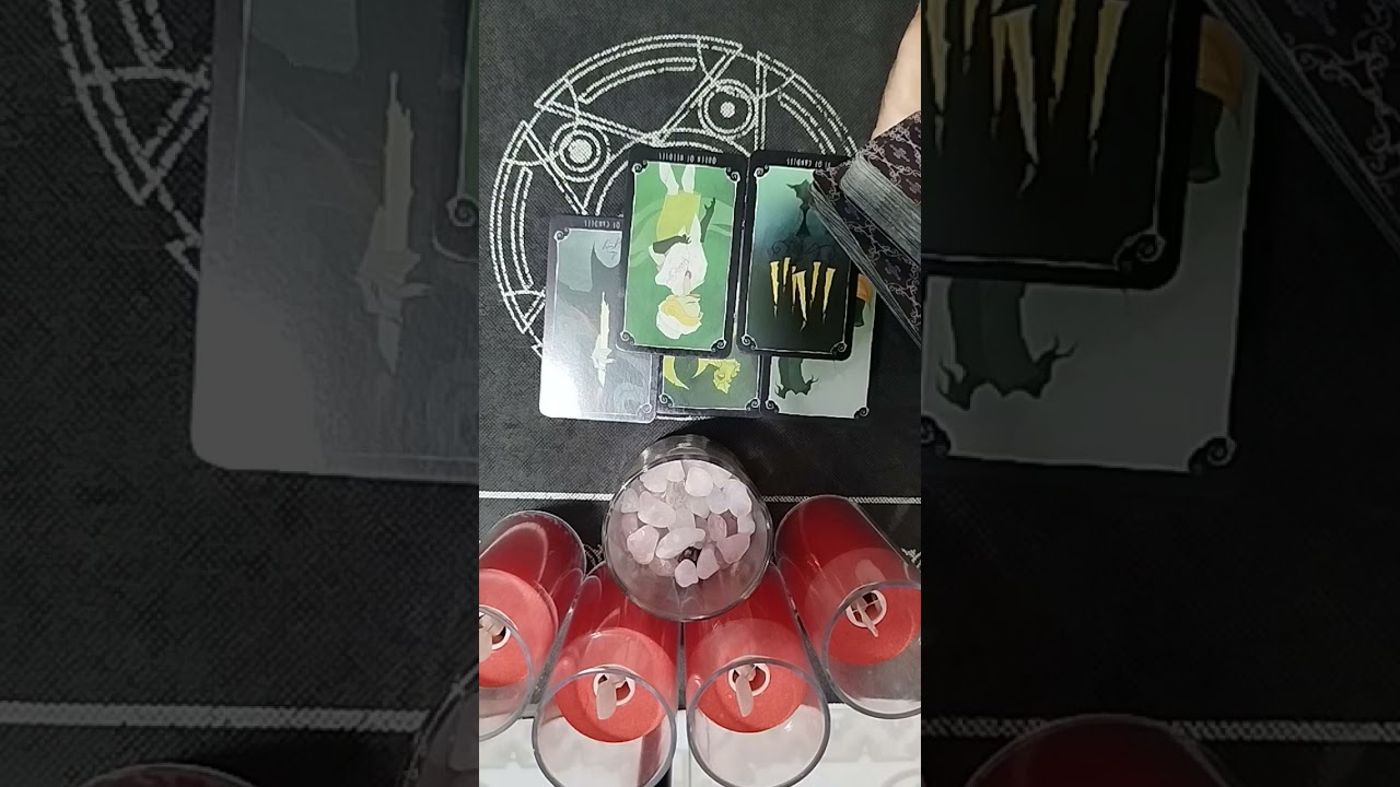 Sự sắp đặt của tự nhiên Minh Phương tarot Zalo 097 659 8884 Em gái miền Tây