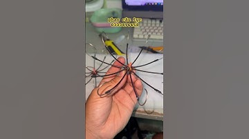 lưỡi câu cá dìa cá nâu lục 10 lưỡi  sezi đại 200k/c