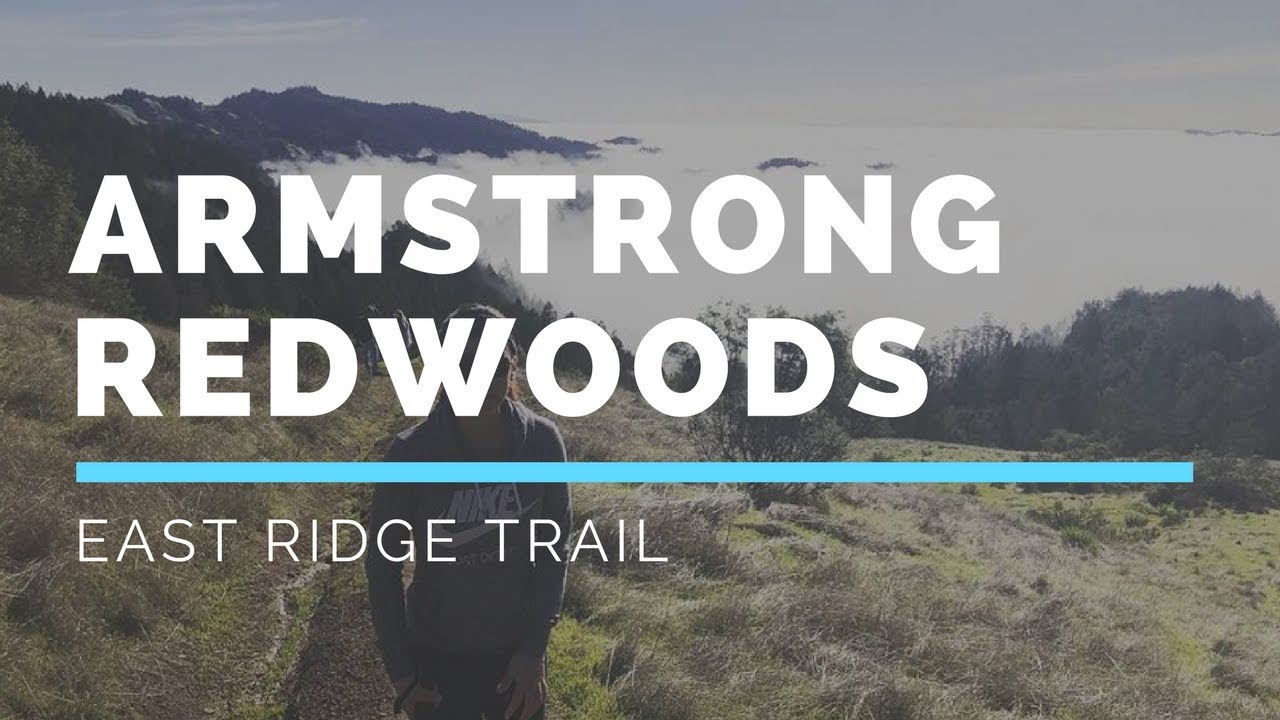 Armstrong Redwoods - East Ridge Trail - YouTube