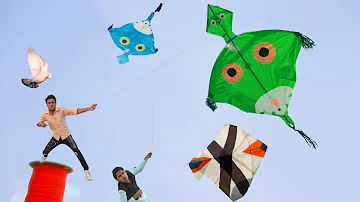 Cutting Big Gudda Catch Vs Kite Cutting Challenge 2023
