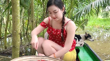 Câu Trúng Bầy Cá Rô Mề Dưới Gốc Tràm Mùa Nước Ngập
