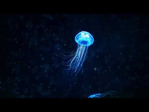 MATRANG - Медуза (Meduza)  | 1 Hour ♬ |