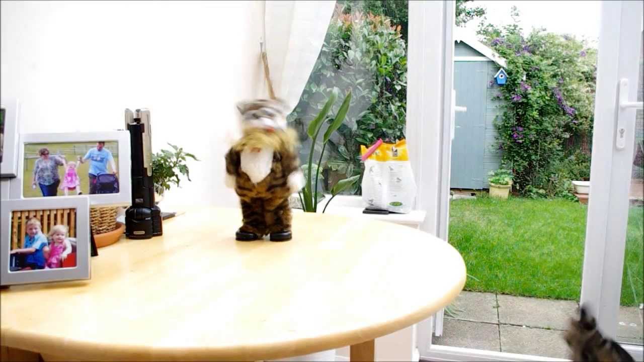 Afonzo - Harlem Shake