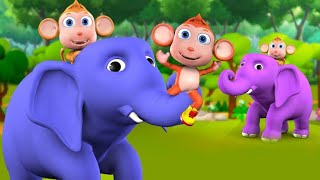 Hathi Videos Elephant