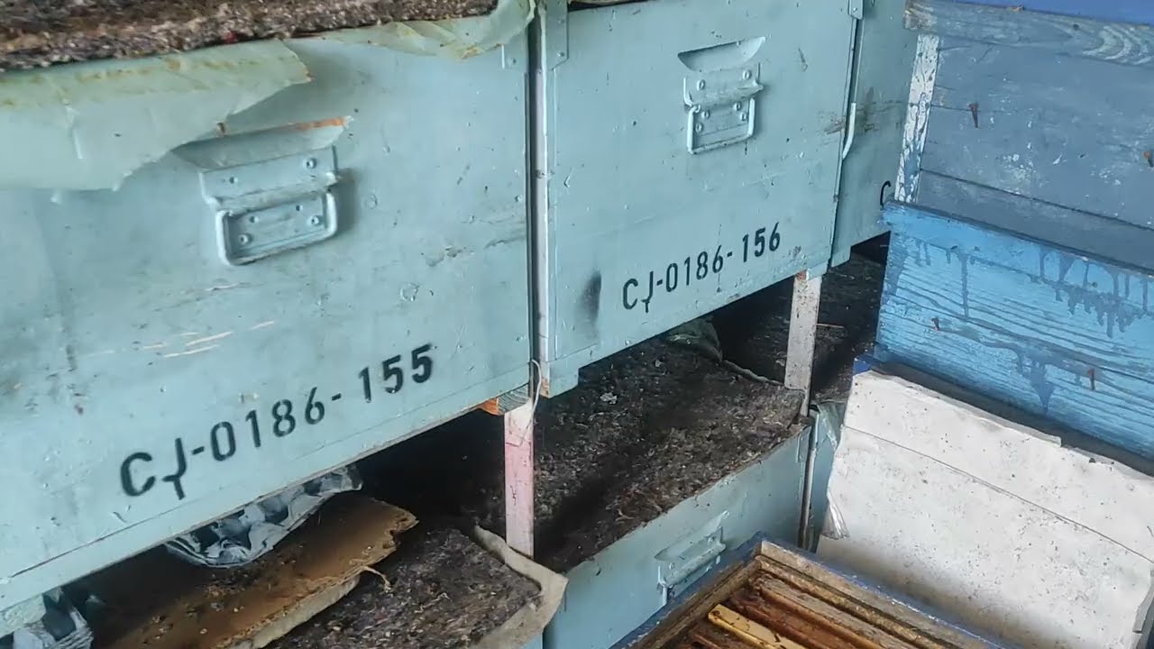 Azi 18 Ian ,inf noi despre consum.A crescut consumul de la 42,7gr/zi/media/fam la 52,7gr/zi/fam.