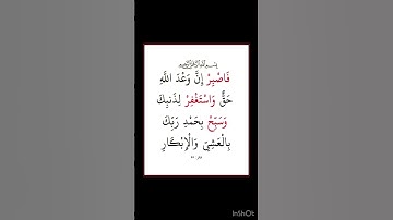 سورة غافر - سورة 40 - اية 55
