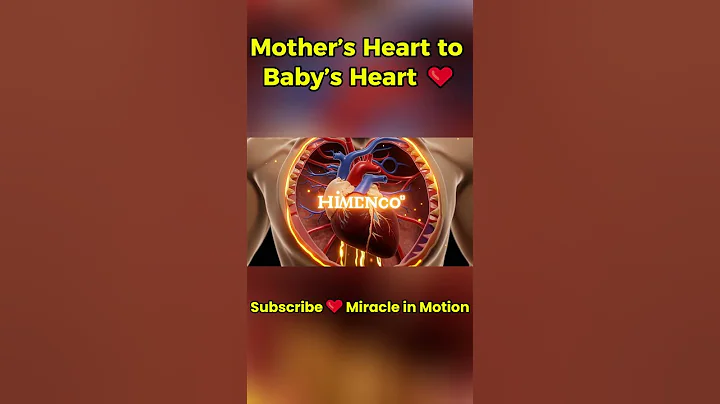 Pregnancy Video | Mother’s Heartbeat Gives Life to Baby in Womb #pregnancy #shorts #miracleinmotion