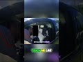 Tased for Seatbelt? Unbelievable Traffic Stop! #shorts