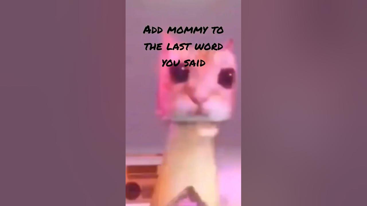#wenomechainsama #watch #el Gato #dancing #hehe El Gato so cuteee aww
