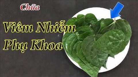 Cách chữa viêm nhiễm phụ khoa, nấm, ngứa tại nhà bằng lá trầu không an toàn hiệu quả cao