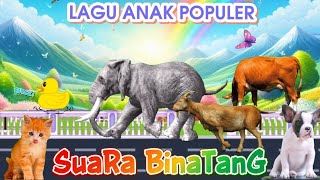 Lagu Anak Populer GAJAH Ngok Ngok - SUARA BINATANG #kartunanak #laguanak #suarabinatang #kbeebsingtv Lagu Anak Populer GAJAH Ngok Ngok - SUARA BINATANG #kartunanak #laguanak #suarabinatang #kbeebsingtv