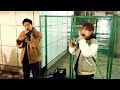RefRise   ♪あなたの好きな花はなんですか(original)