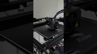Old Video Of First Print Test On Ender 5 Pro
