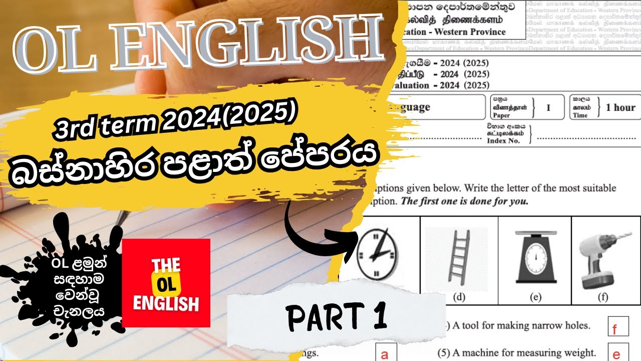 Grade 11 Western Province Paper Discussion 2024(2025) 3rd Term Paper