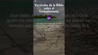 ✞ Que dice la biblia sobre el Entendimiento #shorts #short #labiblia #biblia #versiculos #RVR1960