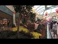 3D VR180 Bellagio Gardens Harvest Theme 3 - 2019 Oculus SBS Cardboard