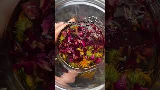 Learning how to make plant medicine