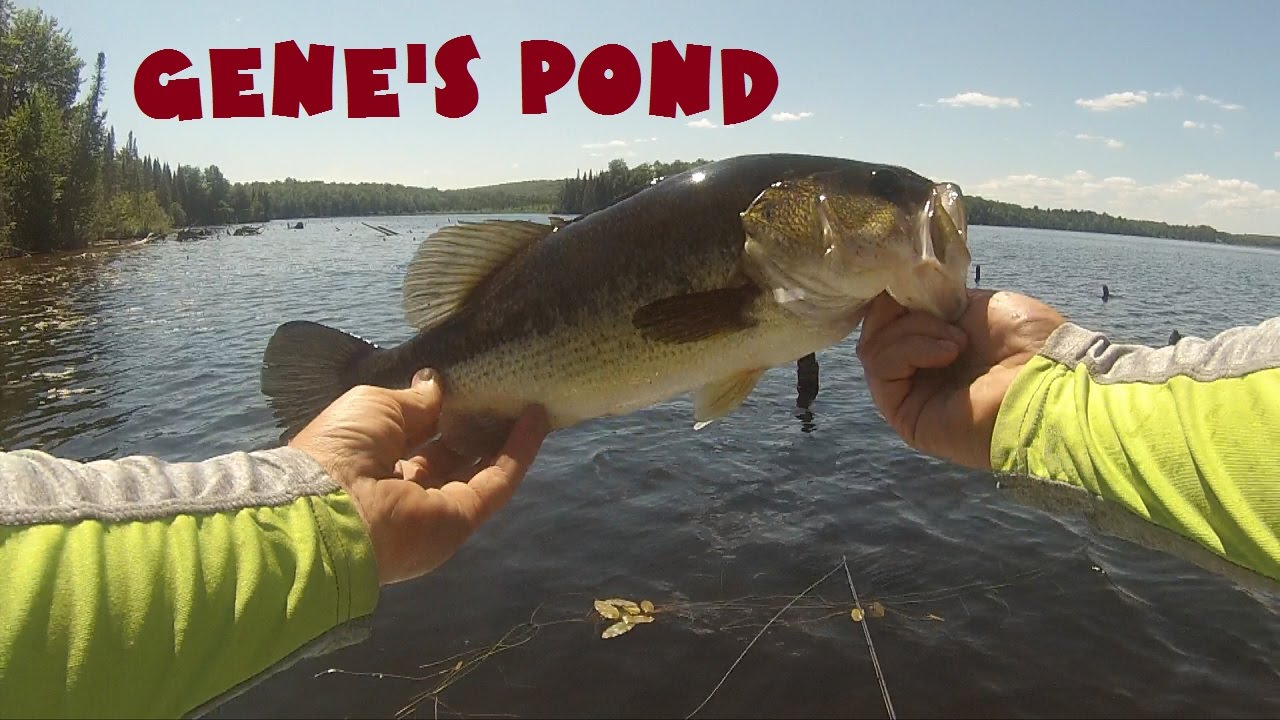 Genes Pond Depth Chart