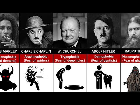 Fears and Phobias