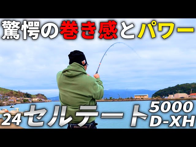 ダイワ24セルテート5000D-XH DAIWA（釣り） ダイワ 24 セルテート LT5000D-XH 送料無料