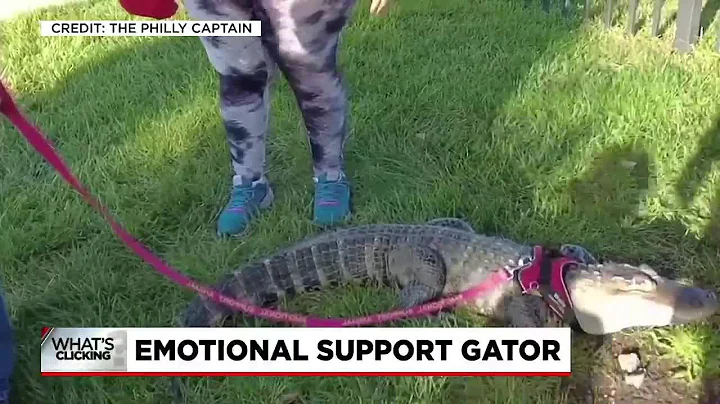 What's Clicking? 9/29