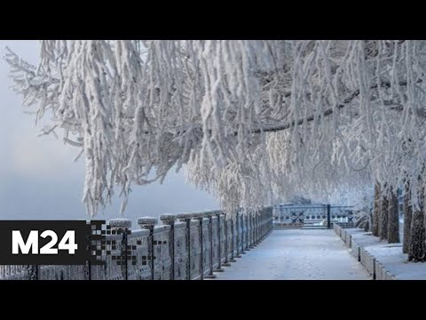 В Москву вновь идут сибирские морозы - Москва 24