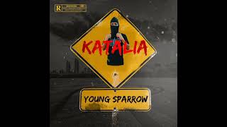 Young Sparrow De MusiQ - Katalia ( Bacardi )