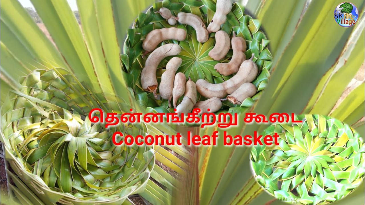 how to make coconut leaf bowl/basket in Tamil தென்னங்கீற்று கூடைCraft