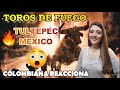 BULLS OF FIRE MEXICO FIREWORKS FESTIVAL, TULTEPEC TOROS 2018 - COLOMBIANA REACCIONA