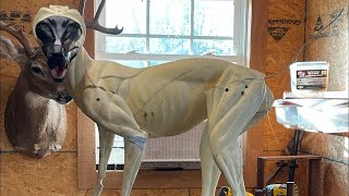 Mounting a coyote Part 1 (modify the form!)