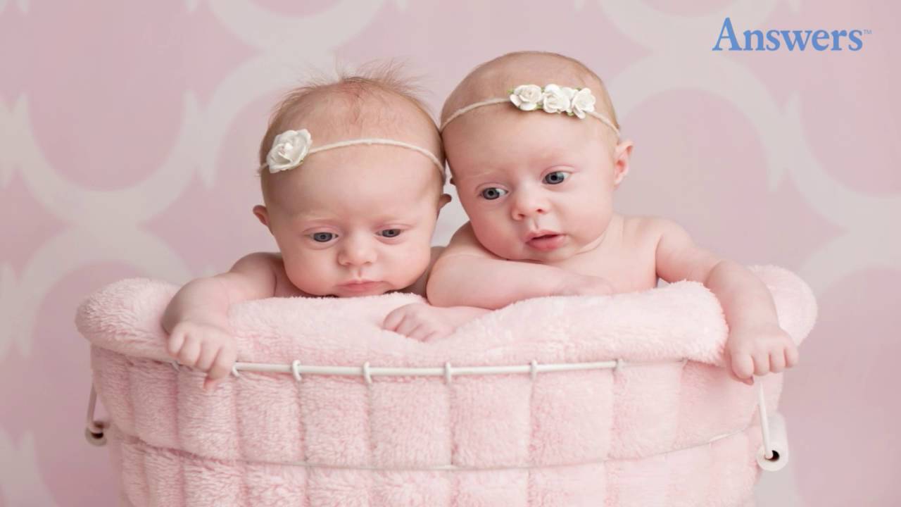 How Can I Have Twins Naturally Ouestny how-can-i-have-twins-naturally-ouestny
