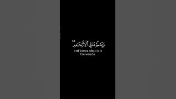 سورة لقمان _ الآية 34 _ تلاوة رائعة _ ❤️📖🤲