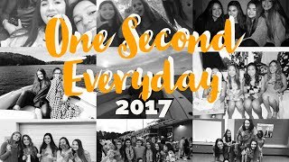 ONE SECOND EVERYDAY 2017