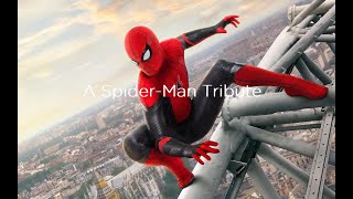 Spider Man Tribute - What's Up Danger