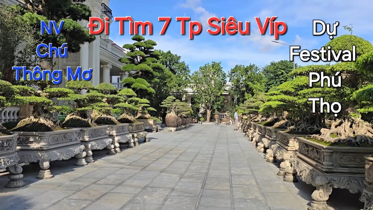 Tin Hót 24H ! Đi Tìm 7 BÁU VẬT SANH CỔ * VÍP NHẤT * trong vườn chú THÔNG MƠ về với Festival Đất Tổ .