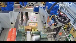 Mixed palletizing by PackMaster