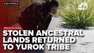 Californias Yurok Tribe Gets Back Ancestral Lands That Were Taken Over 120 Years Ago