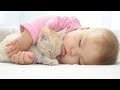 Adorable kittens playing with babies and kids - CUTENESS OVERLOAD cat & baby compilation