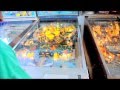 Lightened Copy Of Star Worlds Arcade DeKalb IL Caveman Hook Fire Pinball 
