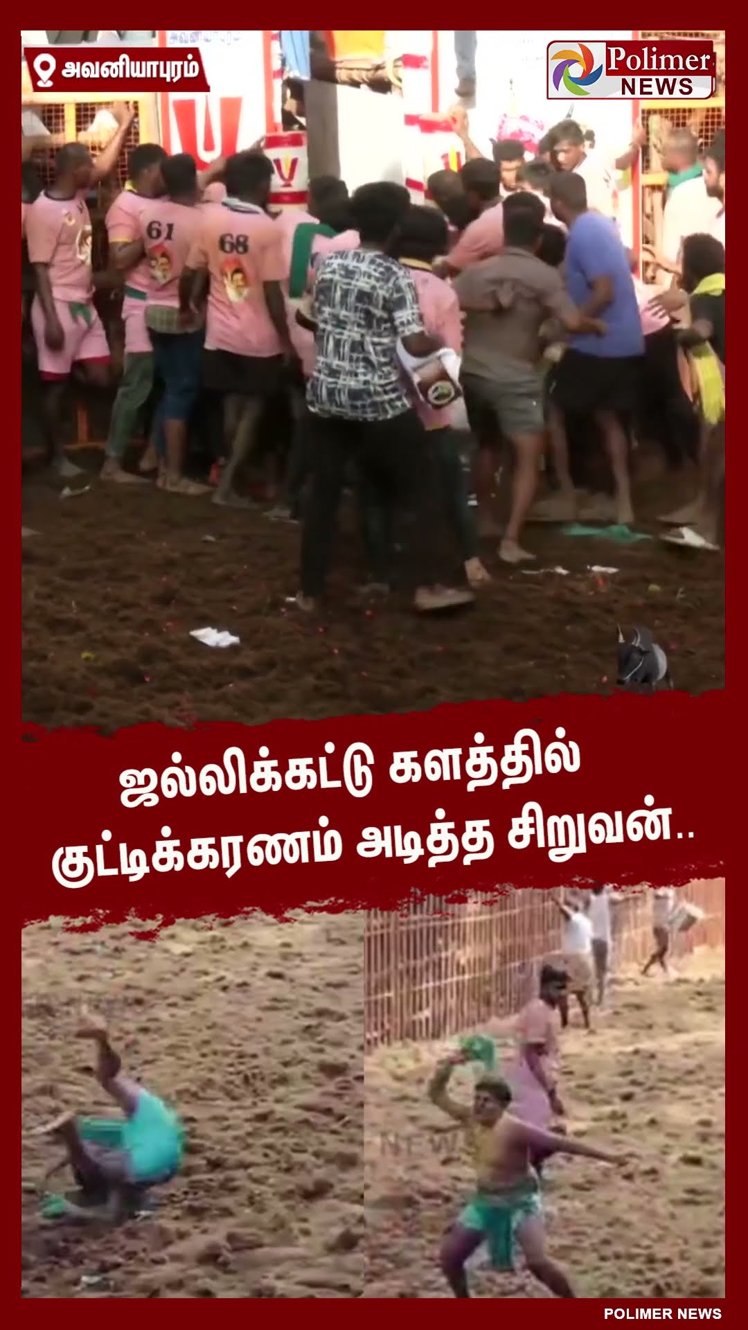 ஜல்லிக்கட்டு களத்தில் குட்டிக்கரணம் அடித்த சிறுவன்.. #shorts | #avaniyapuramjallikattu