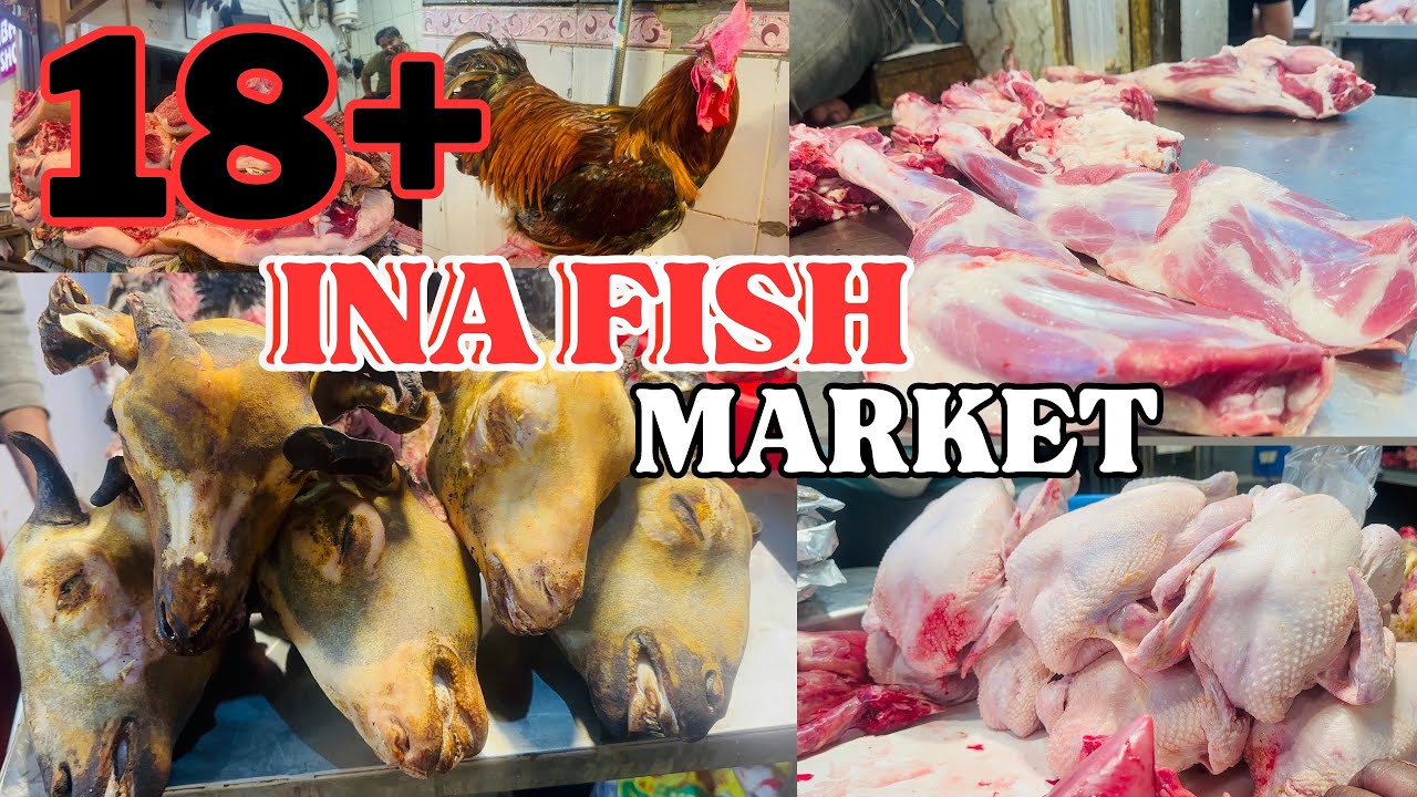 INA Fish Market In Delhi INA Market Delhi 2024Big fish market In