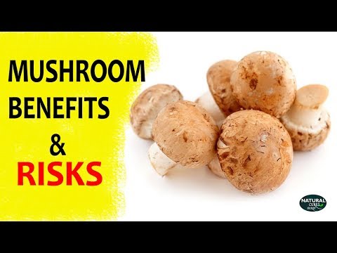 Health Benefits And Risks Of Mushrooms